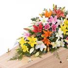 Lily Casket Spray - Mixed Colours