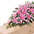 Lily Casket Spray - Pink