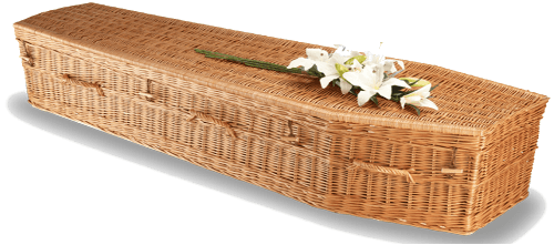 Elementary Willow eco coffin