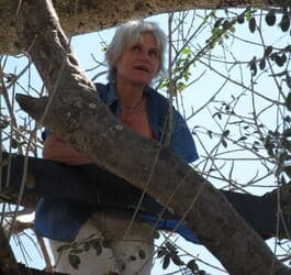 Haugh, Patricia (Trish)