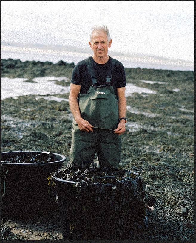 WALTON Michael